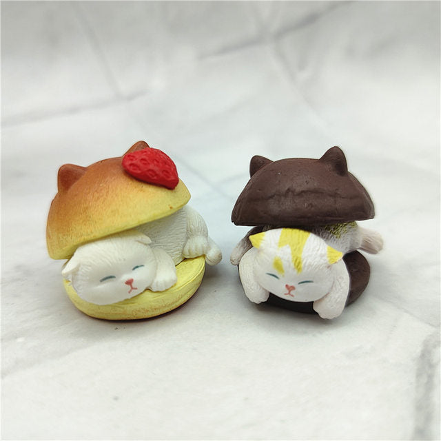 Burger chat boîte mystère mignonne